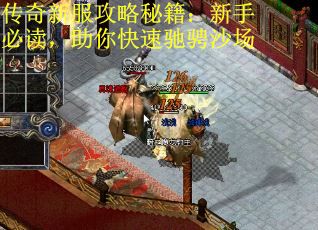 傳奇新服攻略秘籍：新手必讀，助你快速馳騁沙場