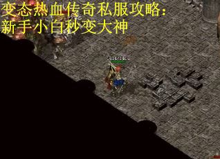 變態(tài)熱血傳奇私服攻略：新手小白秒變大神