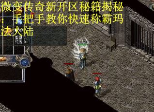 微變傳奇新開區秘籍揭秘：手把手教你快速稱霸瑪法大陸