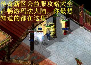 傳奇新區公益服攻略大全：暢游瑪法大陸，你最想知道的都在這里