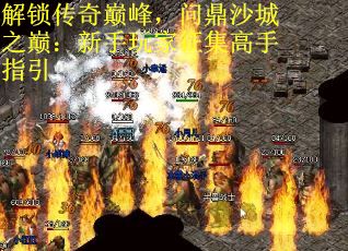 解鎖傳奇巔峰，問鼎沙城之巔：新手玩家征集高手指引