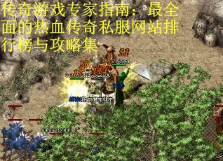 傳奇游戲專家指南：最全面的熱血傳奇私服網站排行榜與攻略集