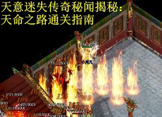 天意迷失傳奇秘聞揭秘：天命之路通關指南