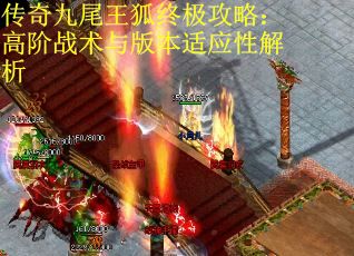 傳奇九尾王狐終極攻略：高階戰術與版本適應性解析