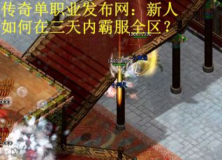 傳奇單職業發布網：新人如何在三天內霸服全區？