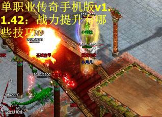 單職業傳奇手機版v1.1.42：戰力提升有哪些技巧？