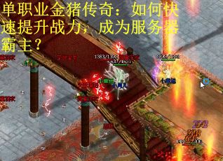 單職業(yè)金豬傳奇：如何快速提升戰(zhàn)力，成為服務(wù)器霸主？