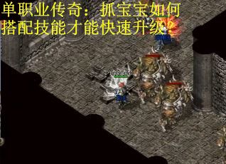 單職業傳奇：抓寶寶如何搭配技能才能快速升級？
