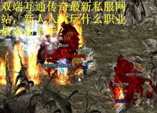 雙端互通傳奇最新私服網站，新人入坑玩什么職業最容易上手？