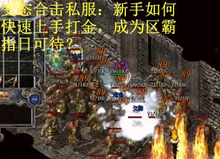 變態(tài)合擊私服：新手如何快速上手打金，成為區(qū)霸指日可待？