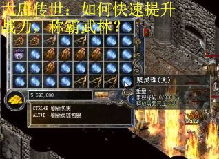 大唐傳世：如何快速提升戰(zhàn)力，稱(chēng)霸武林？